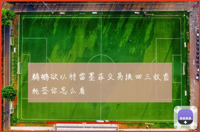 鹈鹕欲以特雷墨菲交易换回三枚首轮签你怎么看